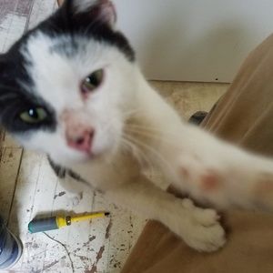 Meet your Posher, John